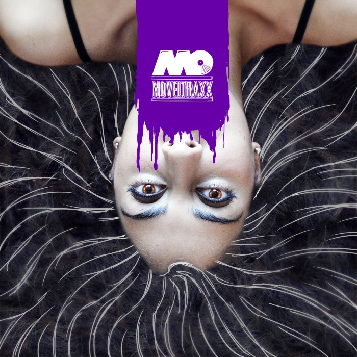 bye bye 2013 compilation movletraxx artwork by alejandro pinpon