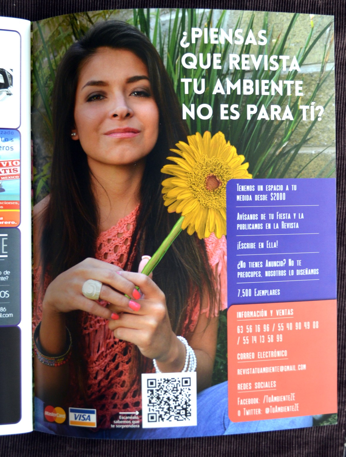 alejadnro pinpon tu ambiente