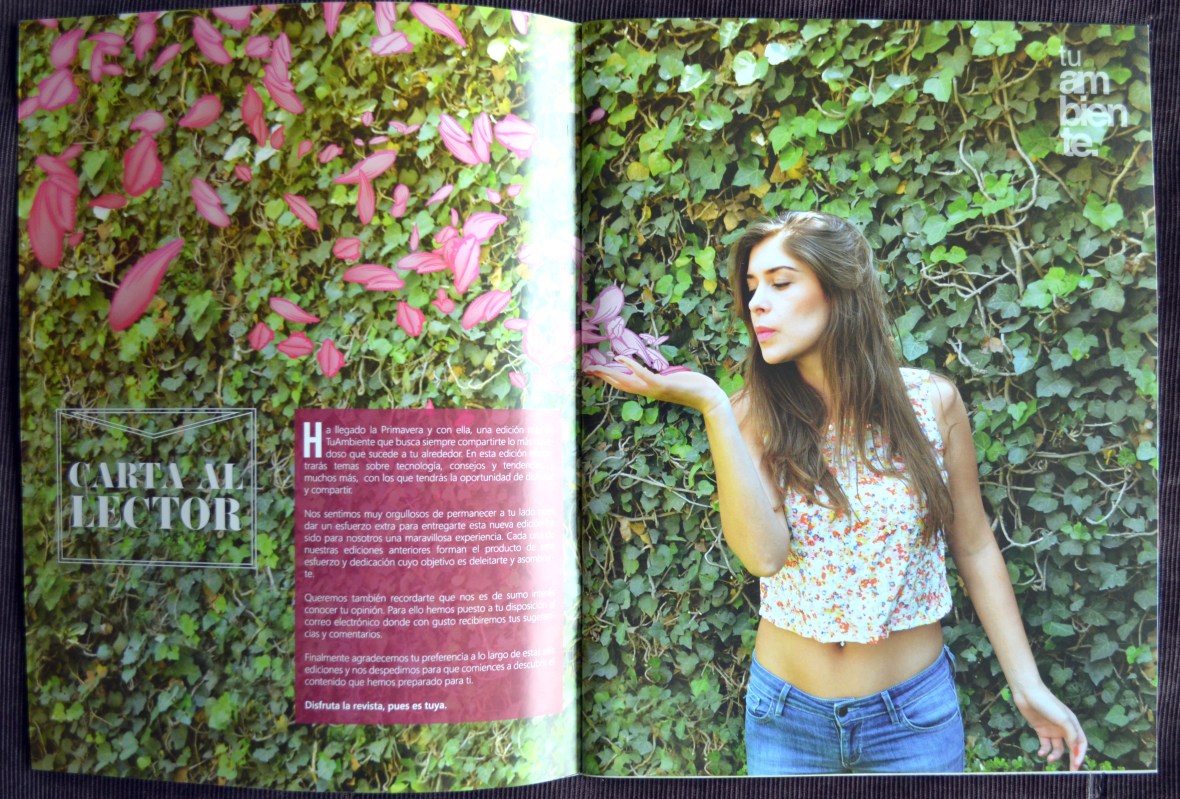 alejandro pinpon tu ambiente